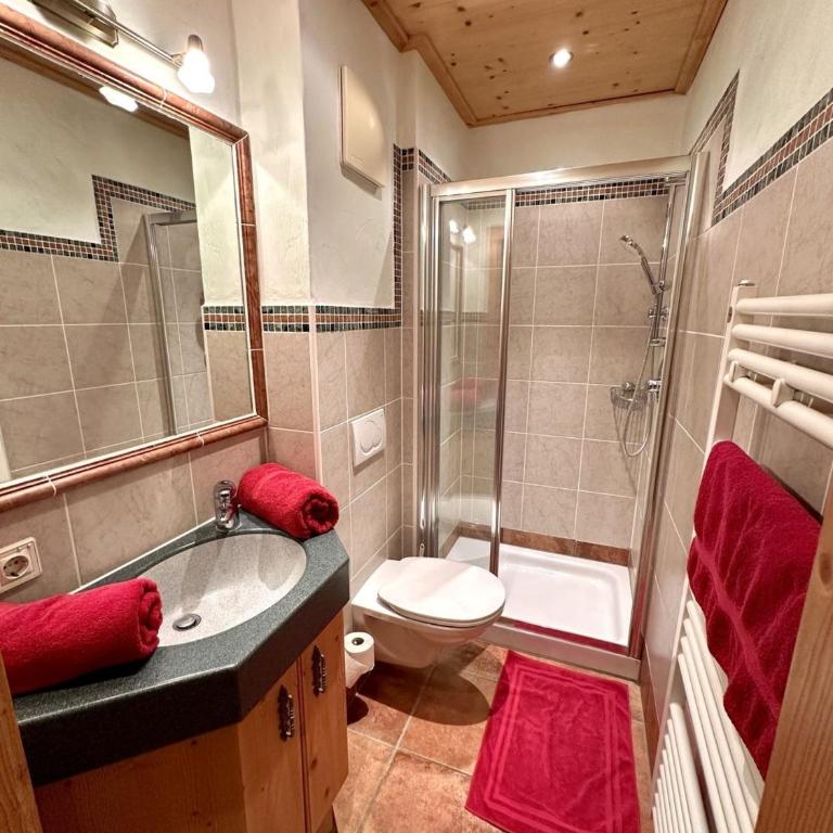 Chalet Amade - Ferienhaus - 10