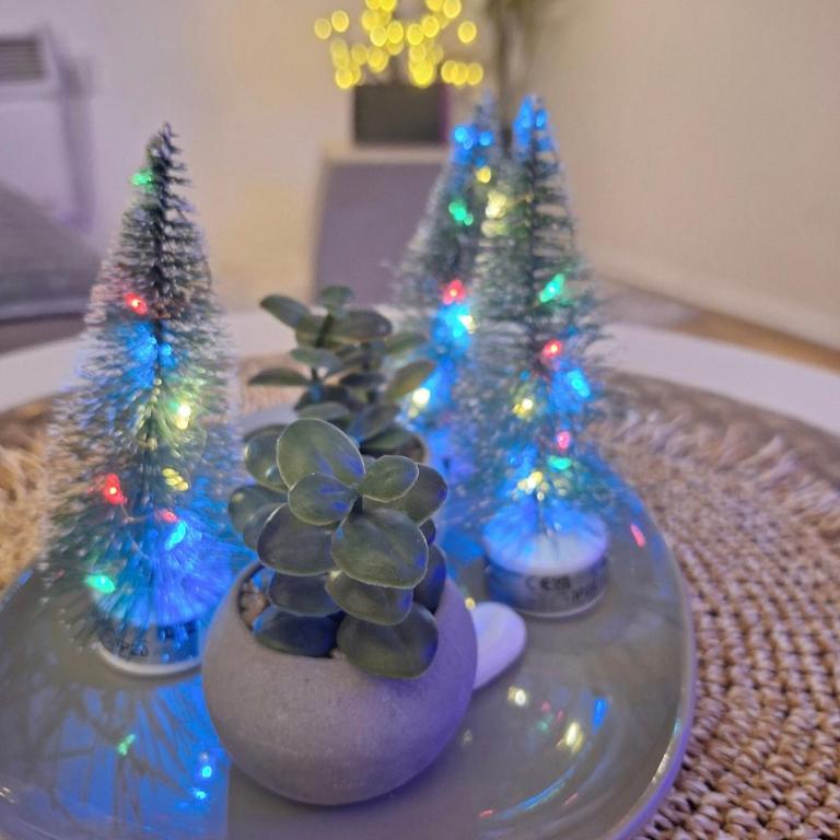 Silver Star Zlatibor - Apartman sa 1 Spavaćom Sobom - 50