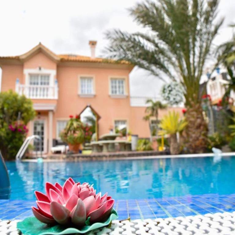 Apartment with communal pool and garden - Two-Bedroom Apartment - 22
