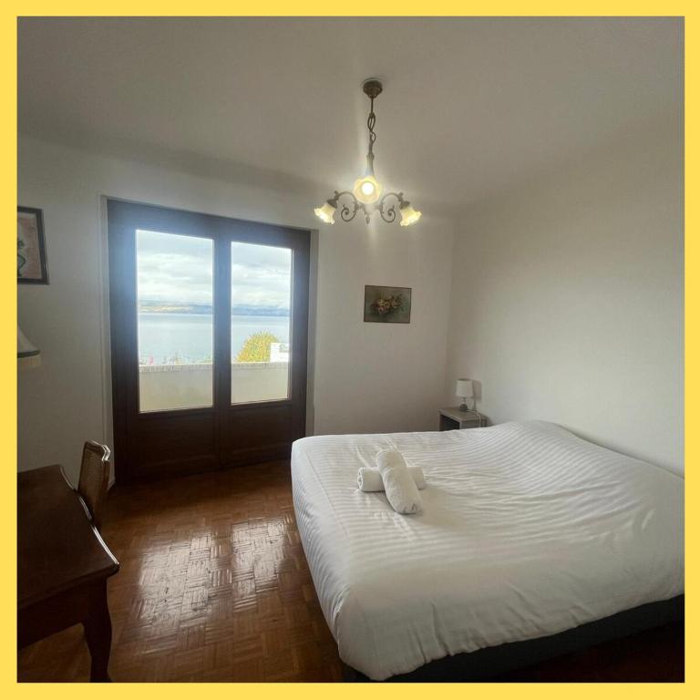 Le Bellevue 2 - Appartement 2 Chambres - 16