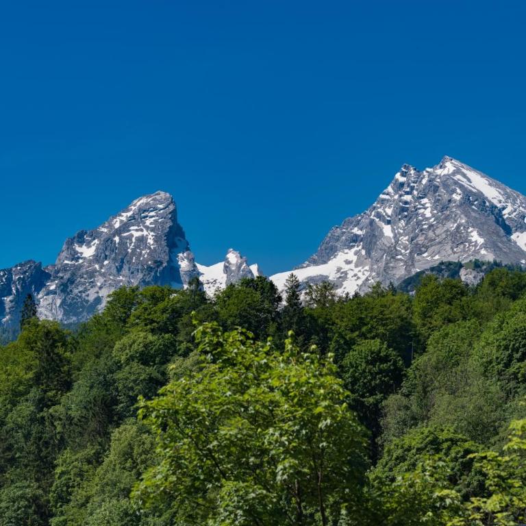 Watzmann Panorama - Apartment mit Blick auf die Berge - 4