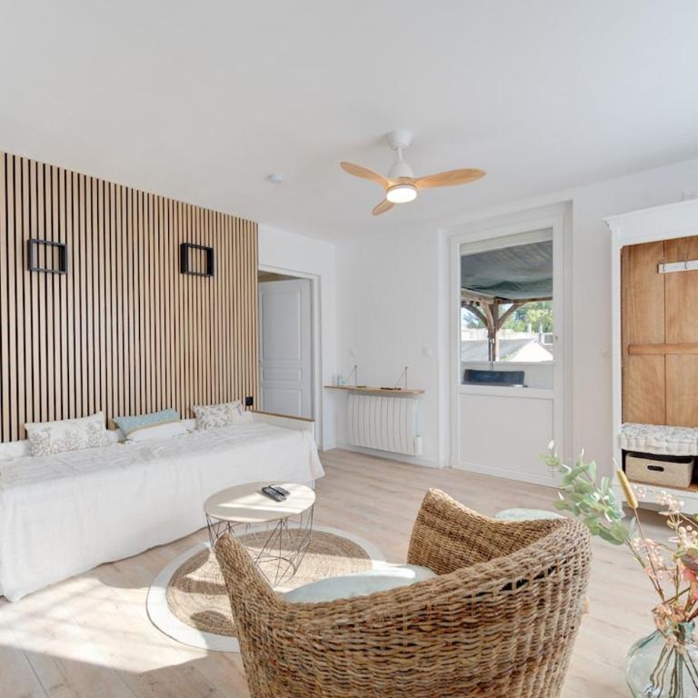 Logement avec Terrasse - Château d'Amboise - Wifi - Appartement 2 Chambres avec Terrasse - 12