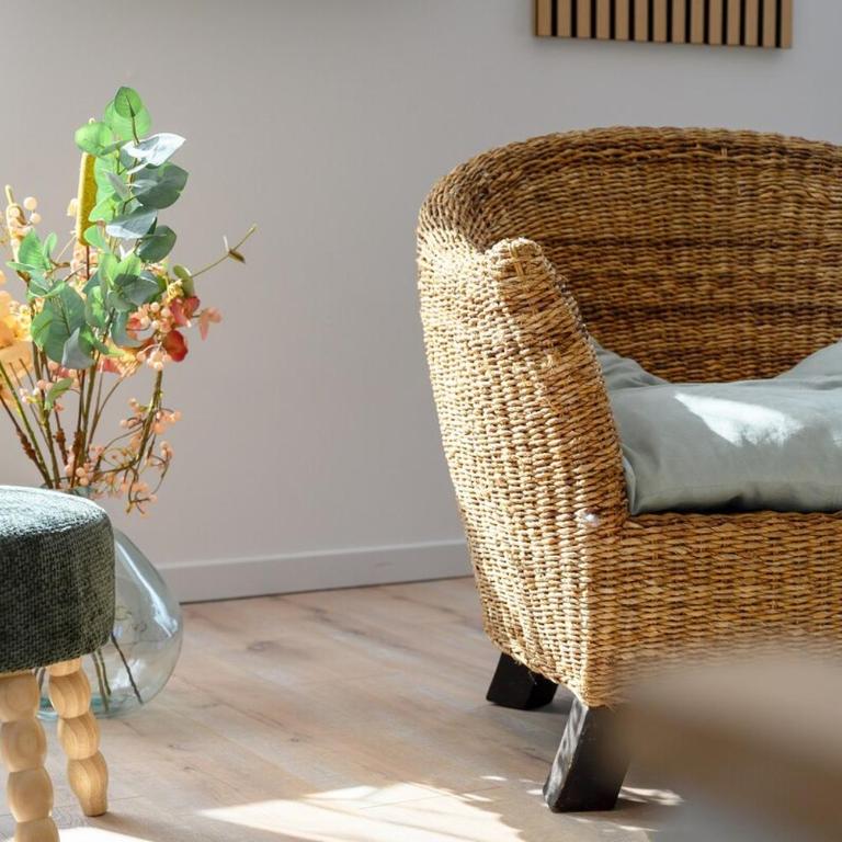 Logement avec Terrasse - Château d'Amboise - Wifi - Appartement 2 Chambres avec Terrasse - 3