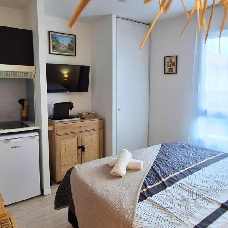 Angélique- Matelas confort - Clim - Wifi - Gare - Appartement 1 Chambre - 11