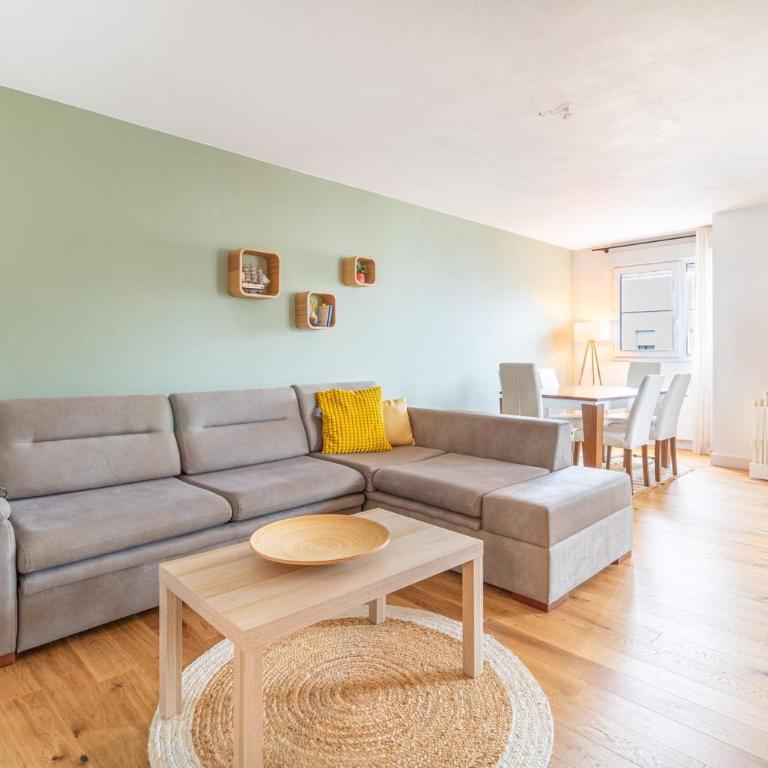Nice apartment of 75 m2 with terrace in Toulouse - Apartment - 14