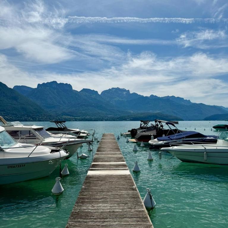 The Travellers - 3-bedroom - 7 persons - Annecy centre - Apartamento de 3 dormitorios Premium - 15