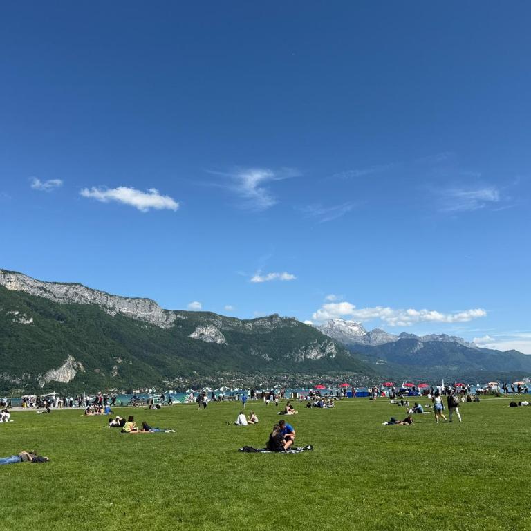 The Travellers - 3-bedroom - 7 persons - Annecy centre - Apartamento de 3 dormitorios Premium - 13