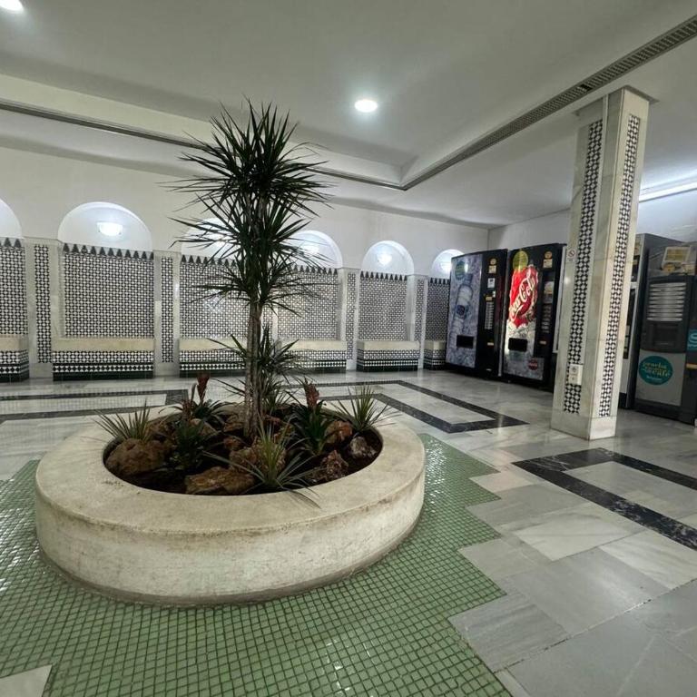 520 Estudio en Minerva Vista al Jardín - Playa a 700 metros - Apartamento Estudio - 20