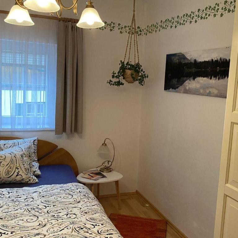Haus Schartner Aloisia - Appartement 1 Chambre avec Douche - 5