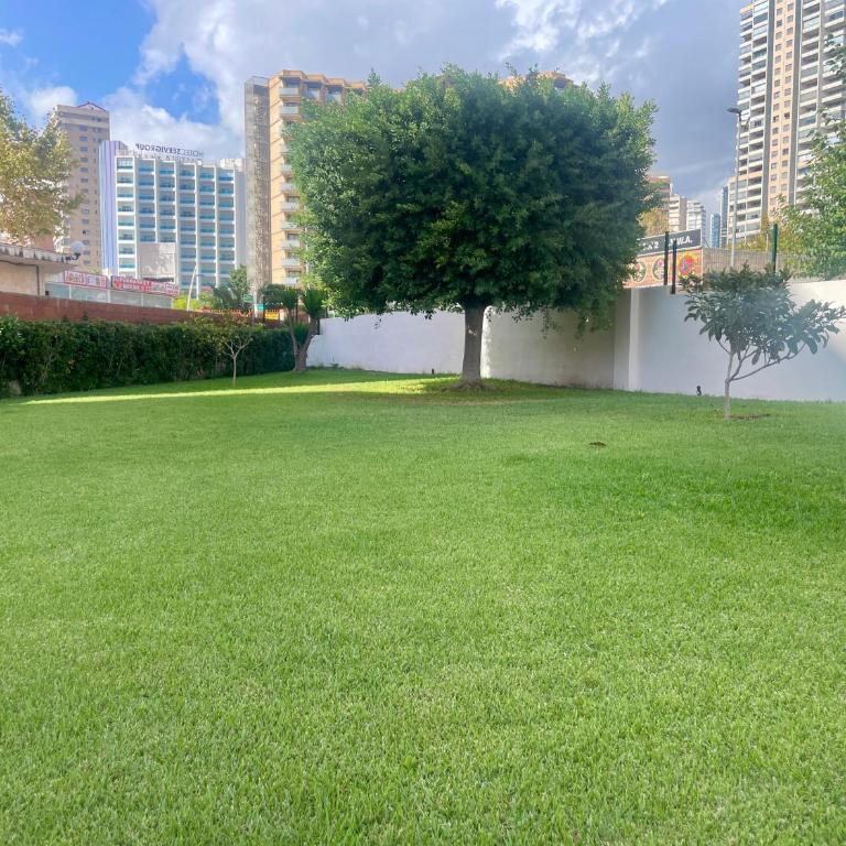 Acogedor apartamento de dos dormitorios en el corazón de Benidorm - Two-Bedroom Apartment - 2