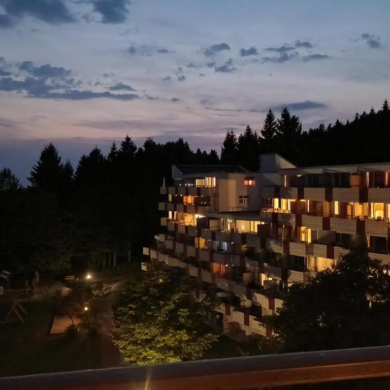 Familienauszeit in Hirschs Dachstüberl mit 2,4m breitem Familienbett, Spiel- und Schlafgalerie für Kinder, aktivCard, Pool, Sauna und Panoramaausblick - Apartment mit 1 Schlafzimmer und Balkon - 34