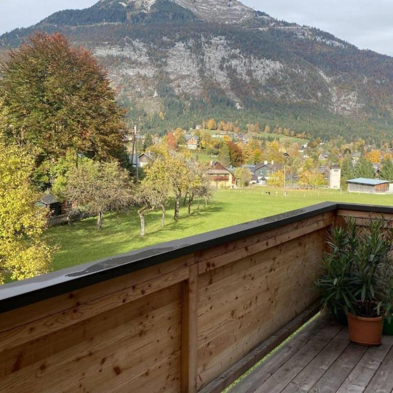 Haus Schartner Aloisia - Appartement 1 Chambre avec Douche - 14
