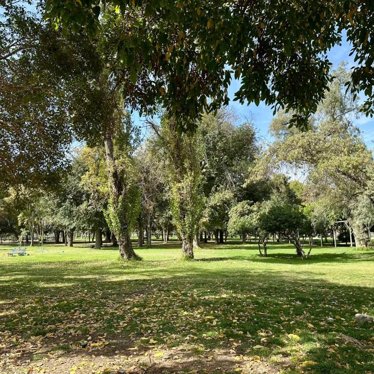 Estudio cerca del Movistar Arena - Apartamento de 1 dormitorio - 53