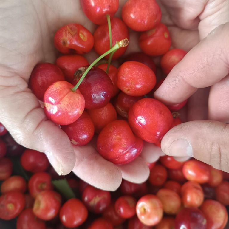 Alma del Lago - Casa - 32