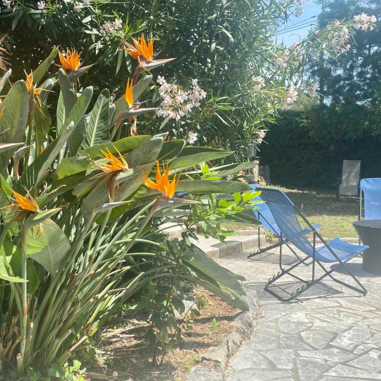 Villa Clair Matin - Antibes - Sea View - Pool - Sauna - Beach - AC - Villa - Vue sur Mer - 62
