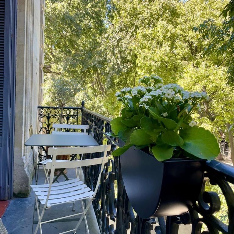 Nimes , appartement rénové dans immeuble classé. - Appartamento con 2 Camere da Letto - 23