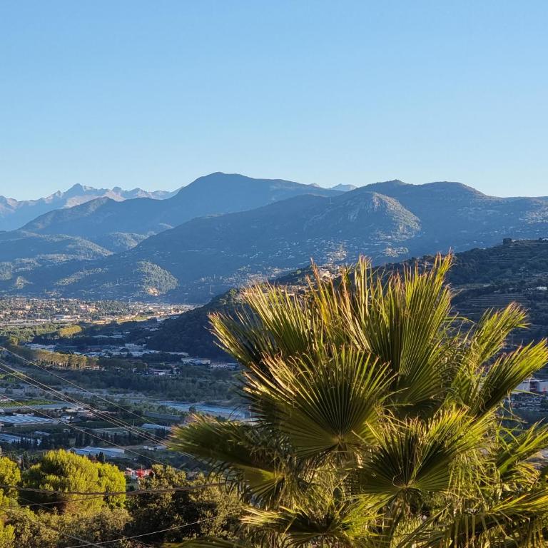 2 pièces avec jardin vue mer - Appartement - Vue sur Mer - 4