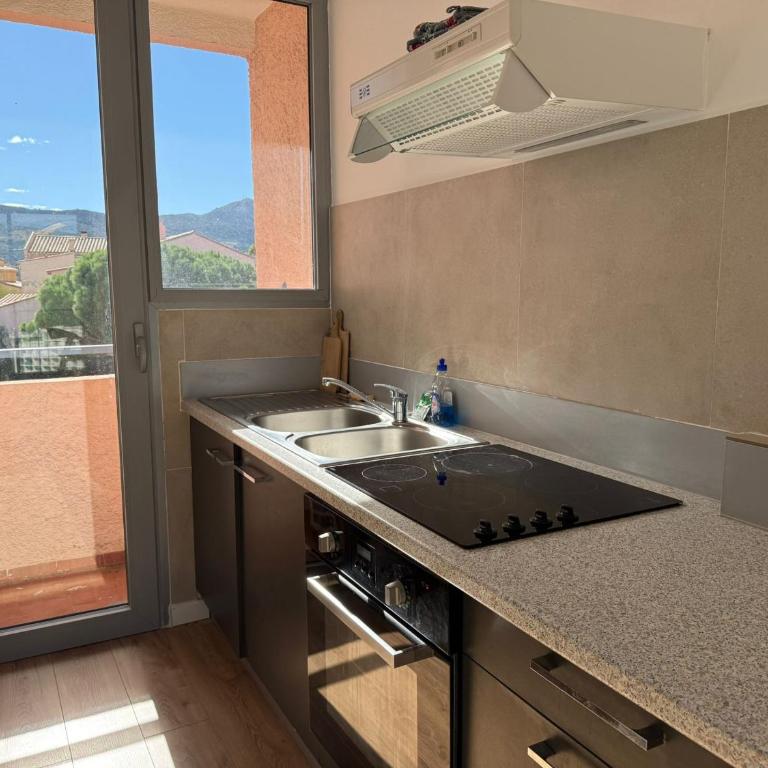 Studio confortable avec vue mer, loggia, animaux acceptés et parking privatif - FR-1-309-75 - One-Bedroom Apartment - 10