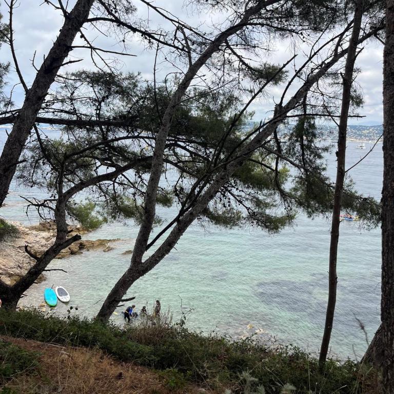 Les Oiseaux - Estudio con terraza - 7