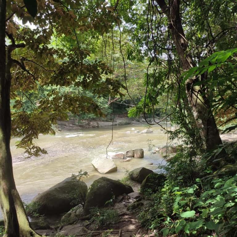 Hotel San Rafael - Family Room - 1