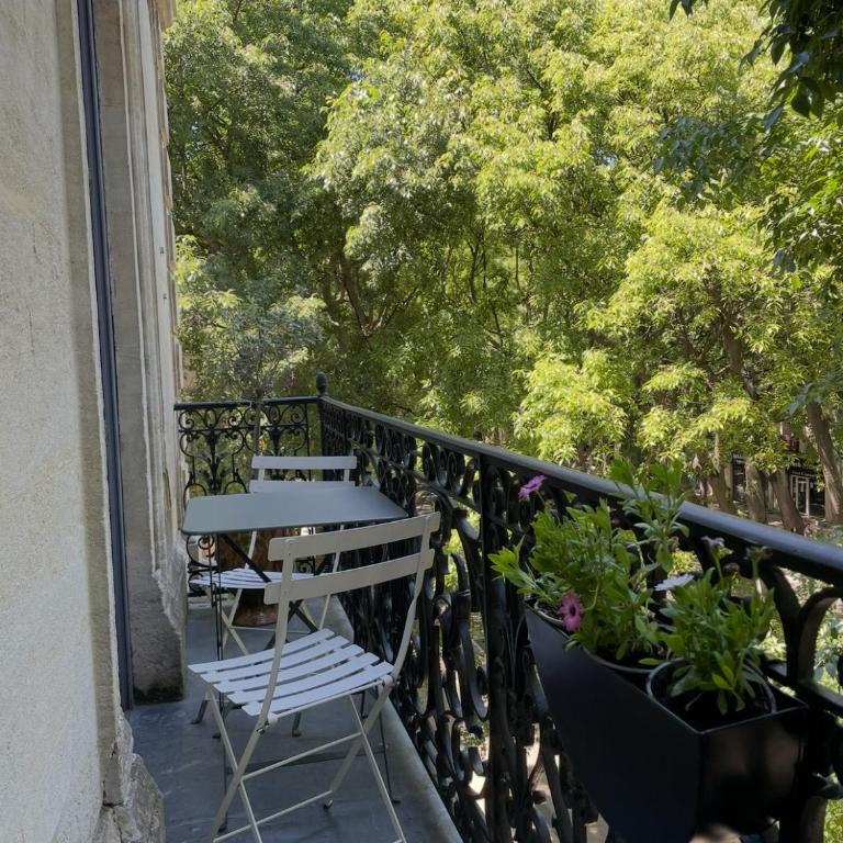 Nimes , appartement rénové dans immeuble classé. - Appartamento con 2 Camere da Letto - 25