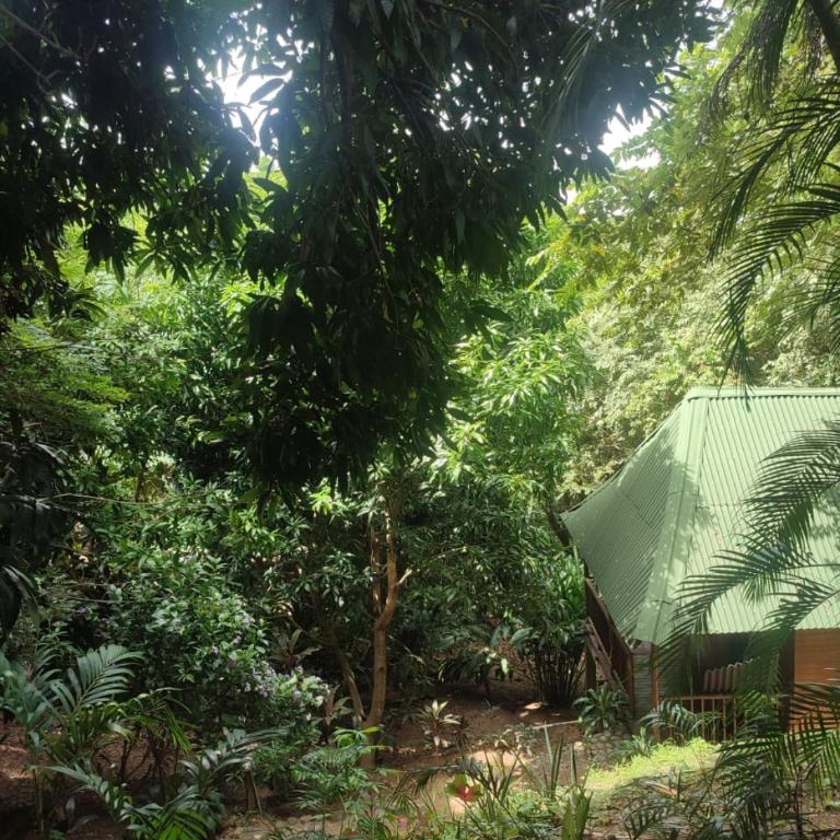 Hotel San Rafael - Double Room - 4