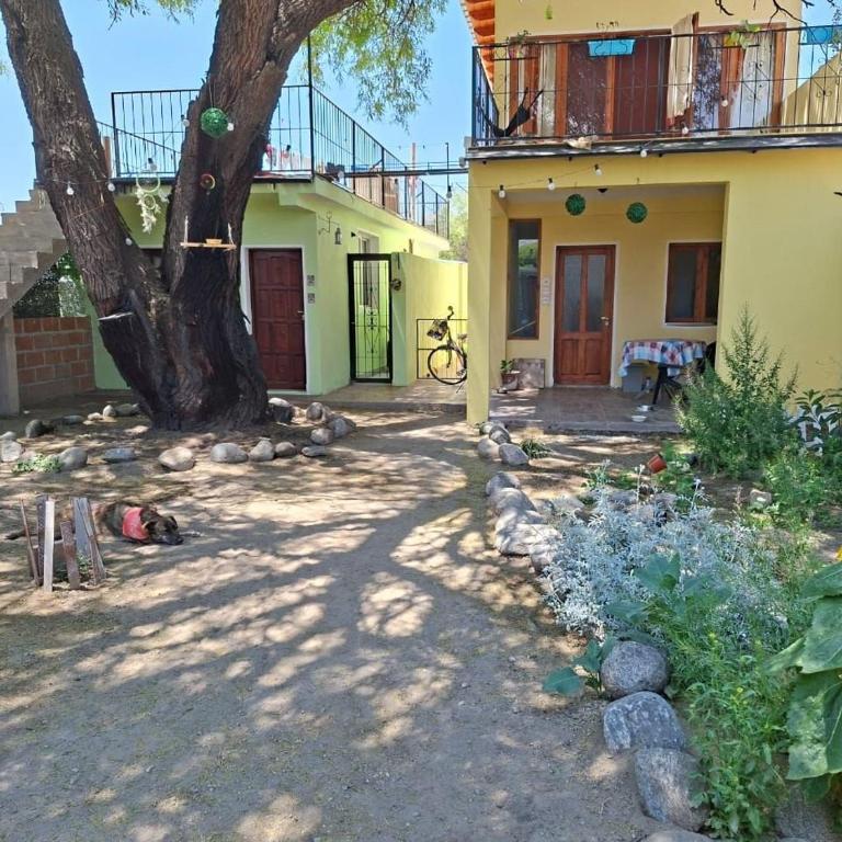 El Algarrobo: Bueno, Bonito y Barato - Apartamento - 7