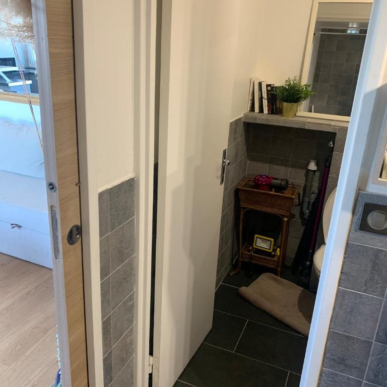 Nice studio and its terrace - Appartement 1 Chambre - 3