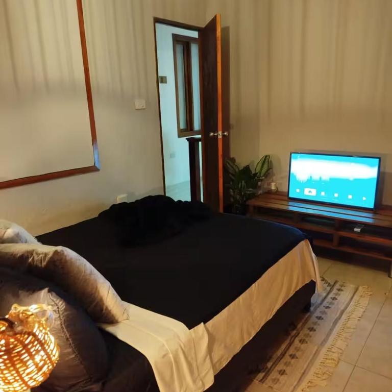 Hb-m8 House With 8 Bedrooms, Pool And Near The Sea - Vacation Home - 19