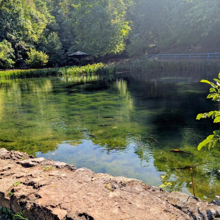 Mimi -Green Hill - Apartman sa 1 Spavaćom Sobom - 25