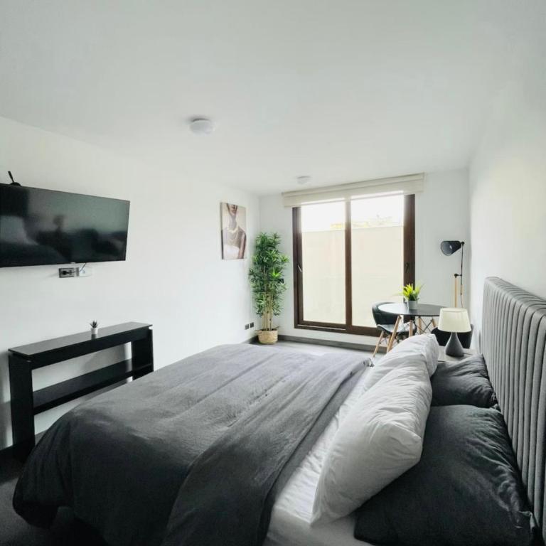 Studio Chic para Viajeros en Santiago - Apartamento de 1 dormitorio - 4