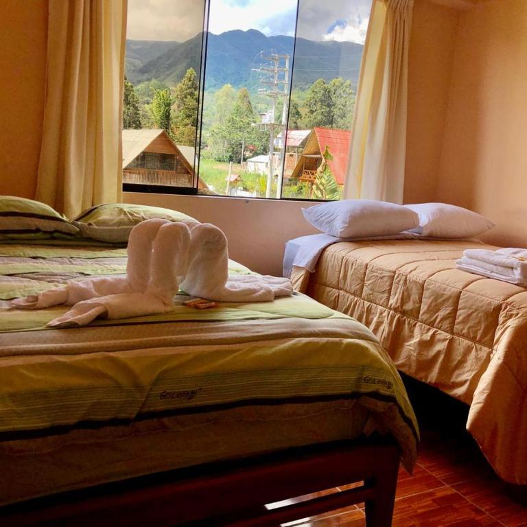 Echevarria Oxapampa - Twin Room - 3