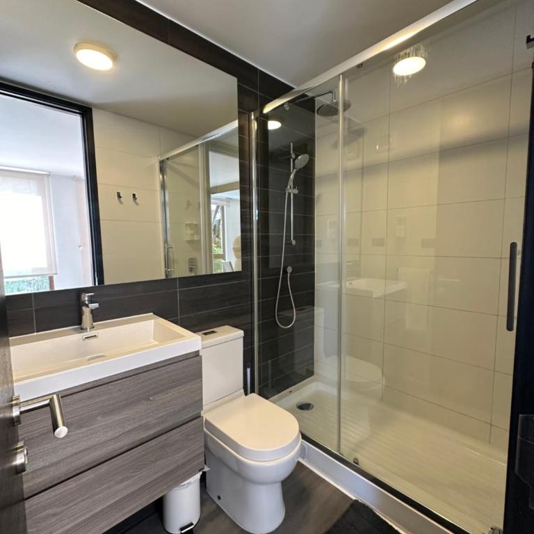 Santiago cómodo Dpto Familiar - Apartamento de 1 dormitorio - 22