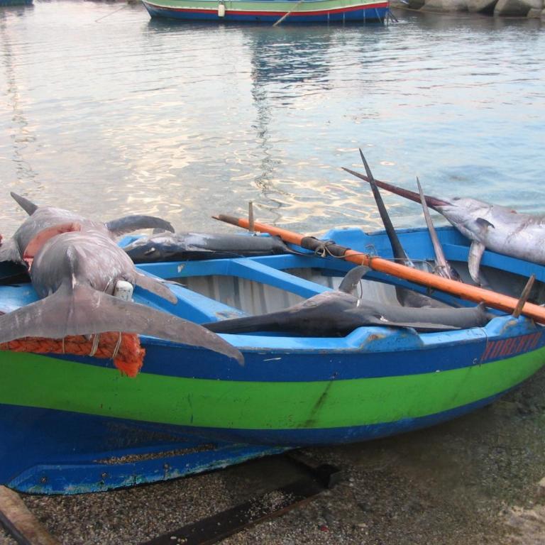 La casa tra i laghi - Casa con 2 Camere da Letto - 75