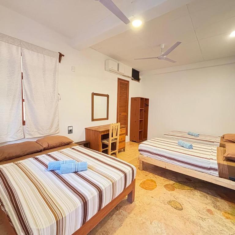 Hotel Papaya Surf - Habitación Cuádruple - vistas al jardín - 5