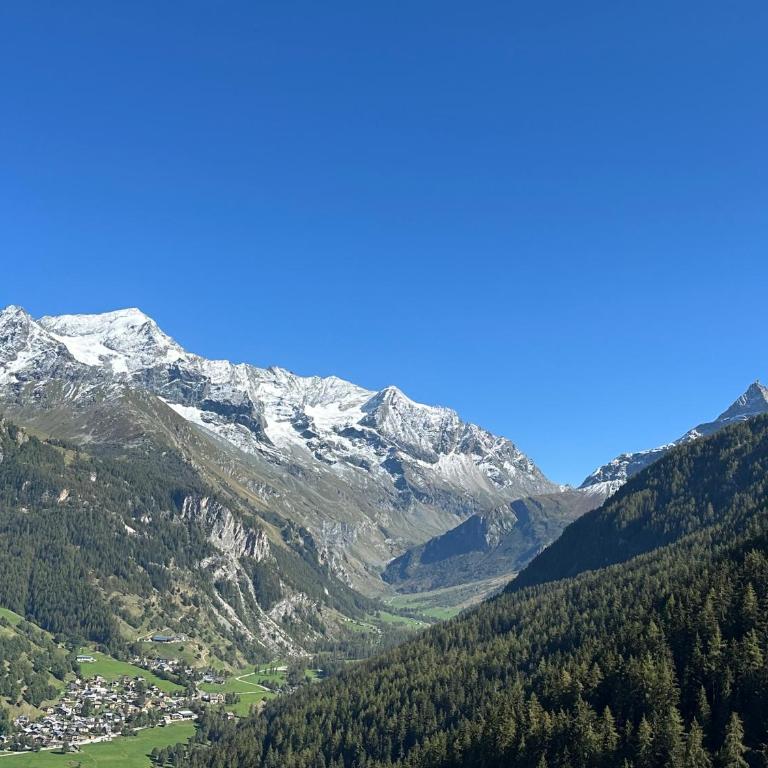 Chalet Perle des Alpes - Chalet Supérieur - 3