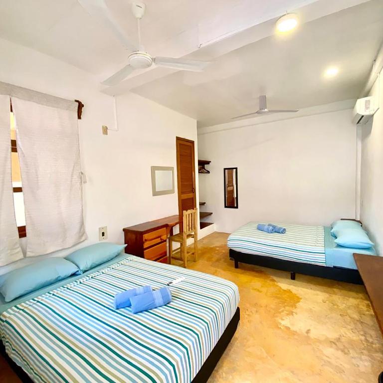 Hotel Papaya Surf - Habitación Cuádruple con baño - 4