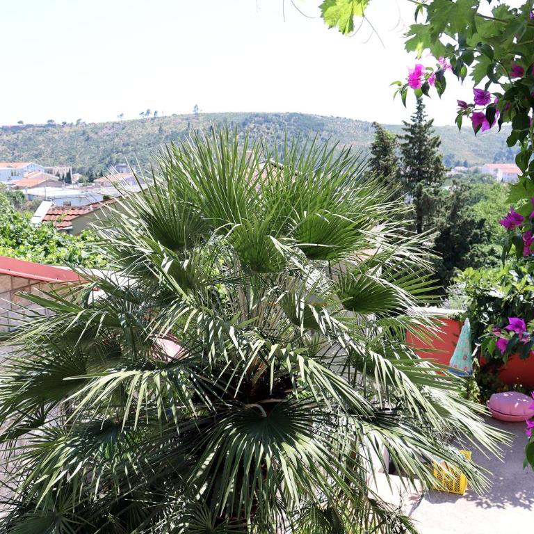 Teona-Apartments - Porodični Apartman sa 2 Spavaće Sobe - 2