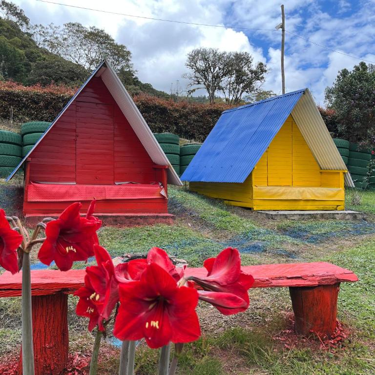 Cabañas La Campiña Ubalá - Tienda - 9