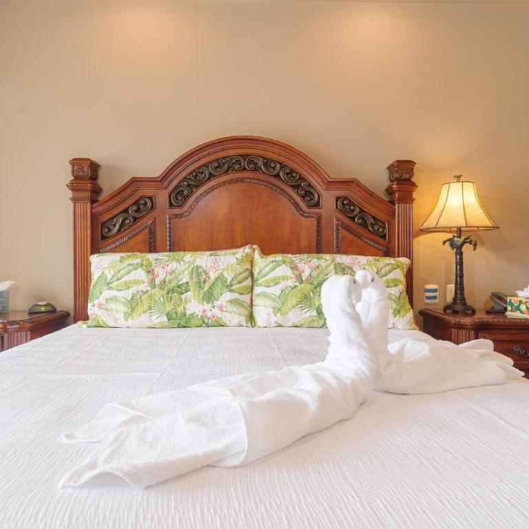 Las Palomas Beach and Golf Resort - Casa - 10
