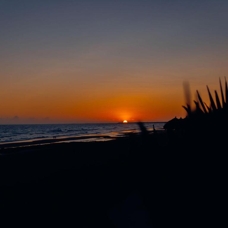 Las Palomas Beach and Golf Resort - Casa - 53