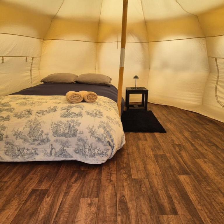 Glamping Río Serrano - Caja Los Andes - Tienda - 2