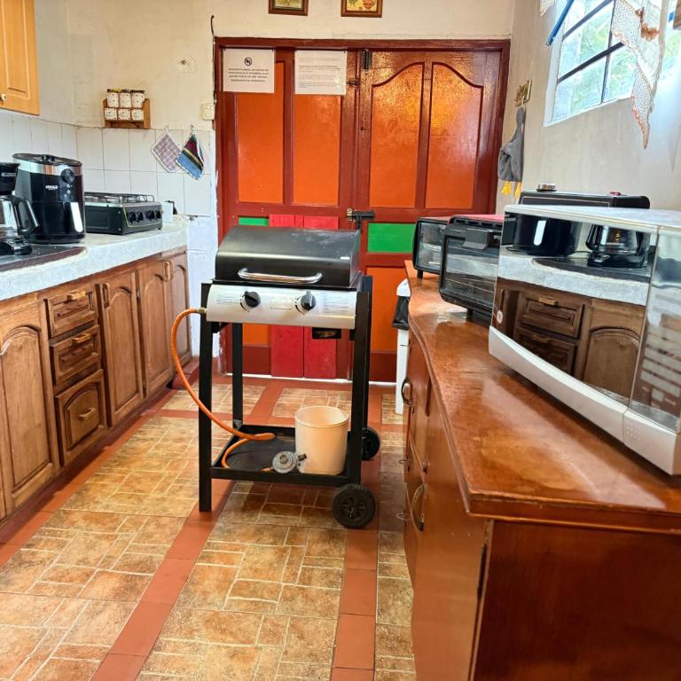 Galicia, cabaña junto a un bosque y a Cascada - Four-Bedroom House - 23