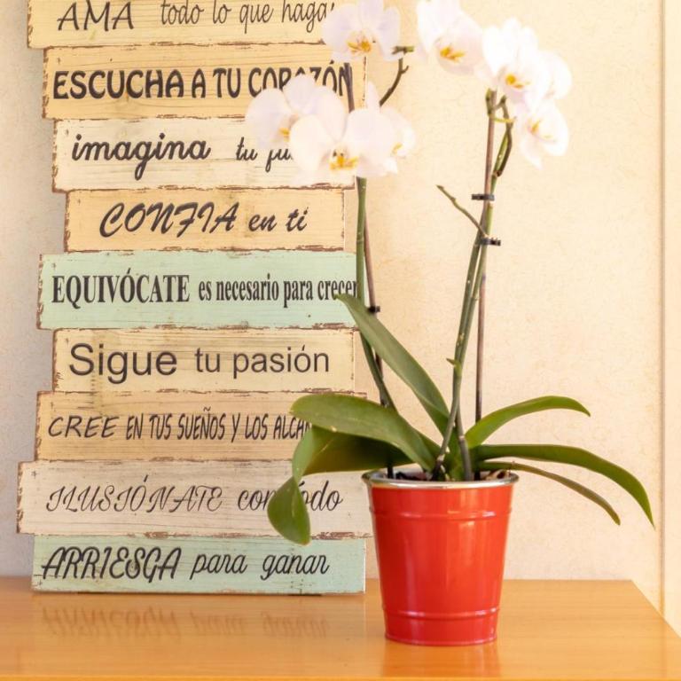 Casita Campo 15 minutos Aeropuerto Ifema y Plaza Castilla - Casa Móvil - 18