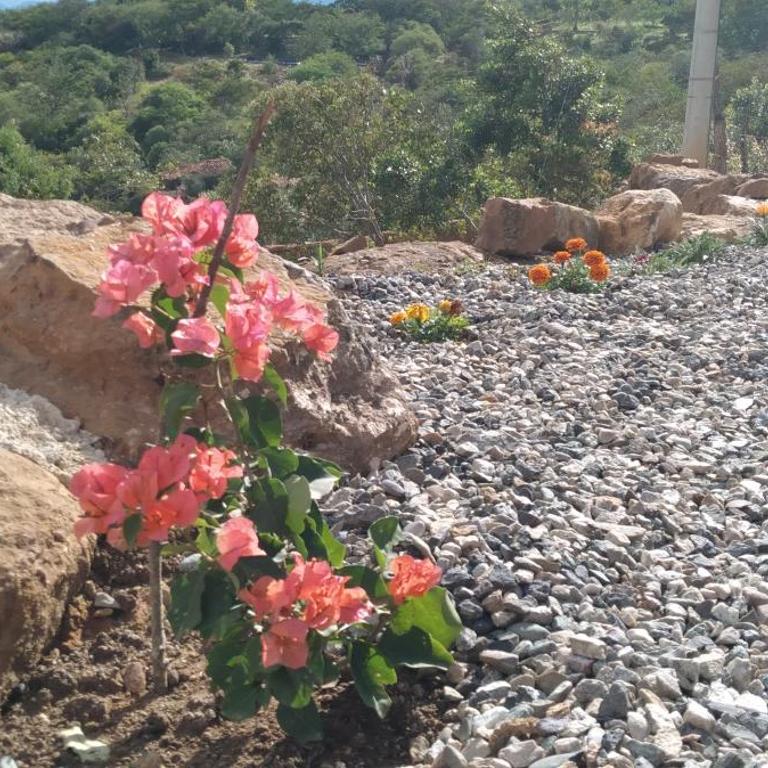 Casa Ángel - Two-Bedroom House - 8