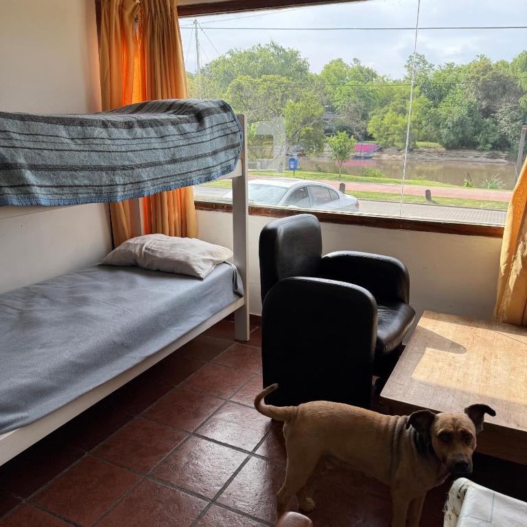 Vista al río Gualeguaychú - Depto 2 amb - Apartamento de 1 dormitorio - 10