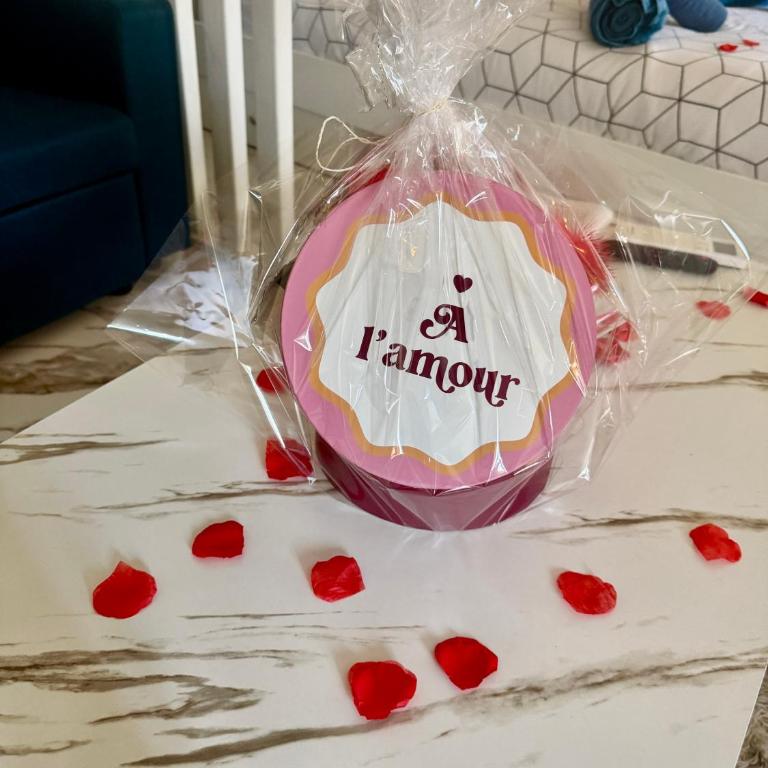 LOVE ROOM by GC - Jacuzzi - Wifi - Clim - Rétroprojecteur - Appartement 1 Chambre - 13