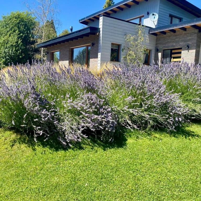 Casa Catedral - Casa de 2 dormitorios - 2