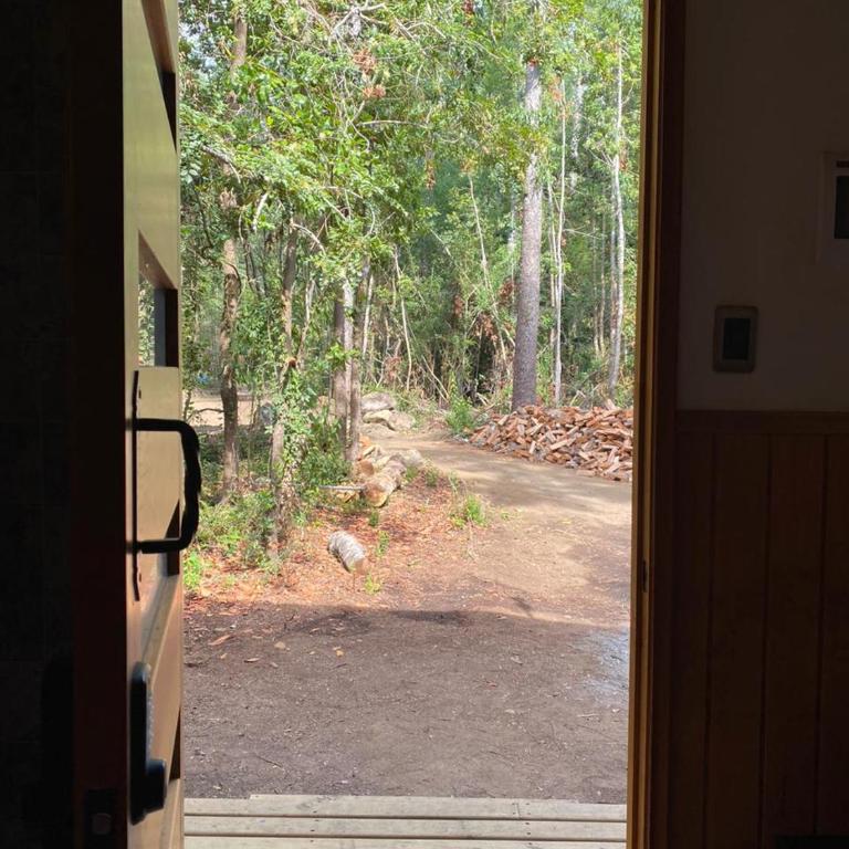 Aldea Molco Arrayan - Casa - 6