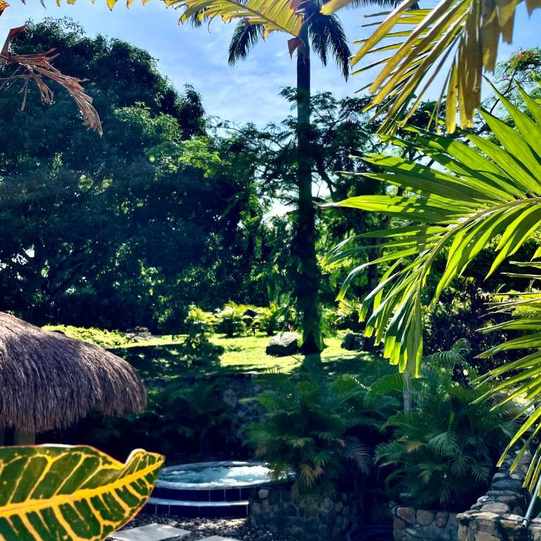 Finca Colombiana - Villa - 9